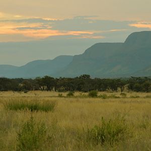 Hunting Area South Africa