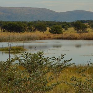 South Africa Hunting Area