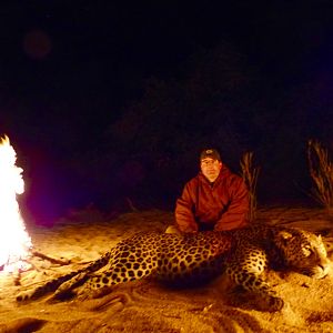 Hunt Leopard in Zimbabwe