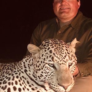 Zimbabwe Hunt Leopard