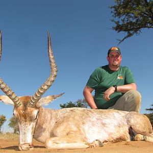 White Flanked Impala