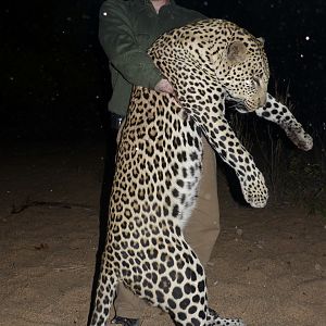 Leopard Hunting Zimbabwe