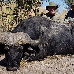 Namibia Hunt Cape Buffalo