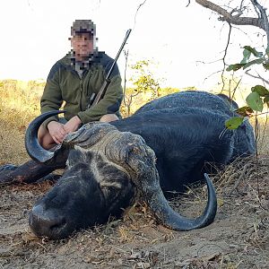 Namibia Hunt Cape Buffalo