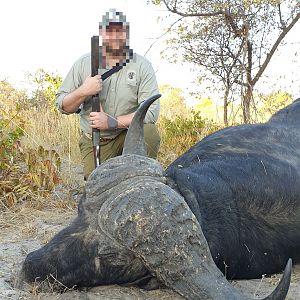 Namibia Hunting Cape Buffalo