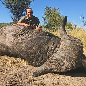 Cape Buffalo Hunting Namibia