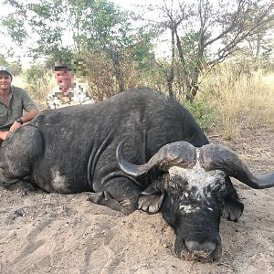 Namibia Hunt Cape Buffalo