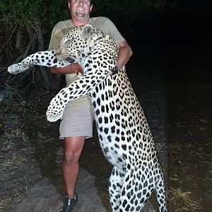 Hunt Leopard in Namibia