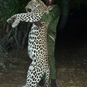 Leopard Hunting Namibia