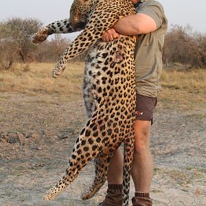 Namibia Hunting Leopard