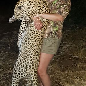 Leopard Hunting Namibia