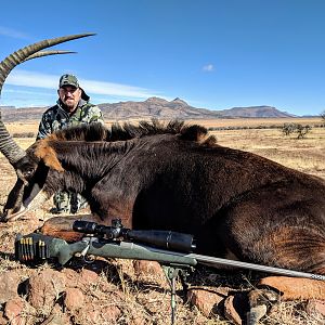 Hunting Sable in South Africa