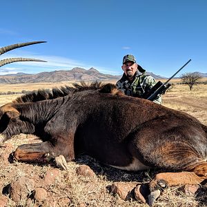 Sable Antelope Hunt South Africa