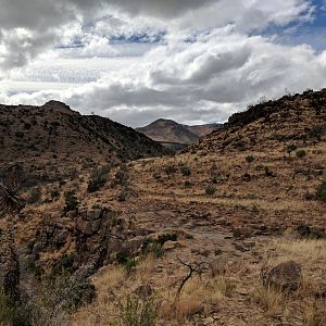 Hunting Area South Africa