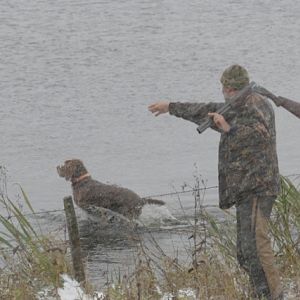 Canada Bird Hunting