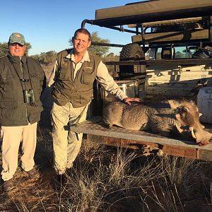 Hunt Warthog in South Africa