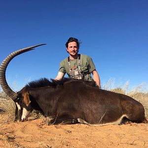 Sable Antelope Hunting South Africa