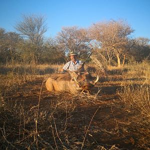 Warthog Hunting South Africa