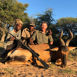 South Africa Hunt Red Hartebeest