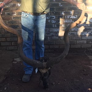 Hunting Kudu in South Africa