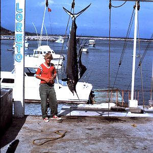 Fishing Sailfish