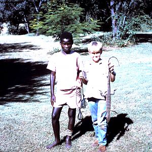 Hunt Lizards  in Tanzania during 60's