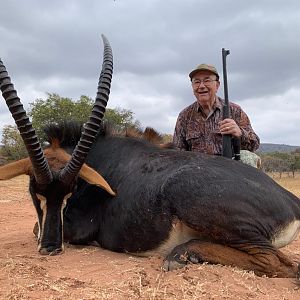 South Africa Hunting Sable Antelope