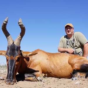 Namibia Hunt Red Hartebeest