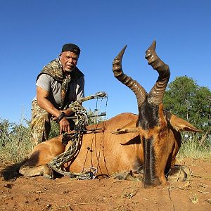 Bow Hunt Red Hartebeest in South Africa