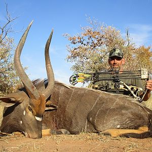 South Africa Bow Hunting Nyala