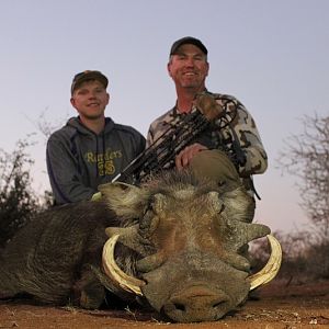 Warthog Bow Hunt South Africa