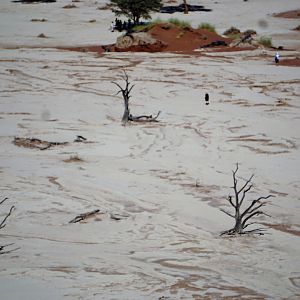 Deadvlei in Namibia