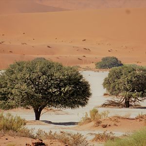 Sossusvlei in Namibia