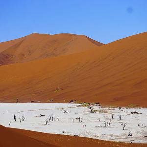 Deadvlei in Namibia