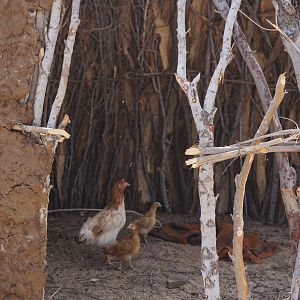 Himba Village Namibia