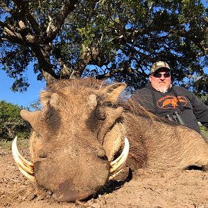 Hunting Warthog in South Africa