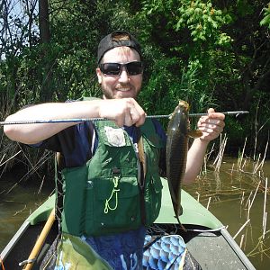 Lake Erie Carp Bow Fishing