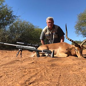 Impala Hunt South Africa