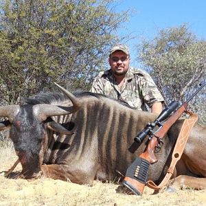 South Africa Hunting Blue Wildebeest