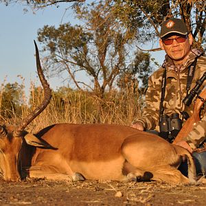 24.5" Inch Impala Hunting South Africa