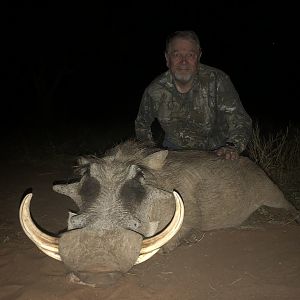 South Africa Hunting Warthog