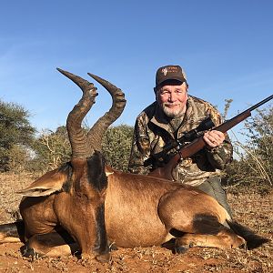 Red Hartebeest Hunting South Africa