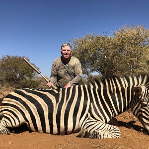 South Africa Hunt Burchell's Plain Zebra