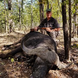 Cape Buffalo Hunt Zimbabwe