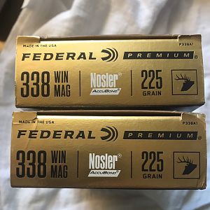 Federal Premium 225 grain Accubond Ammunition