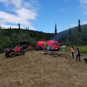 USA Hunt Caribou