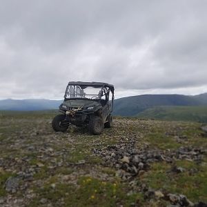 Hunting Caribou in USA