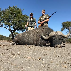 South Africa Hunt Cape Buffalo