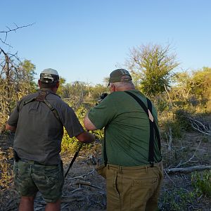 Namibia Hunting Hartmann's Mountain Zebra