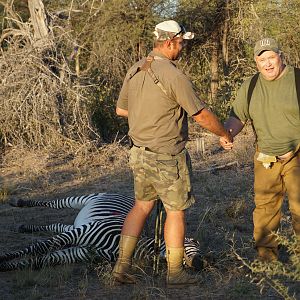 Hunt Hartmann's Mountain Zebra in Namibia